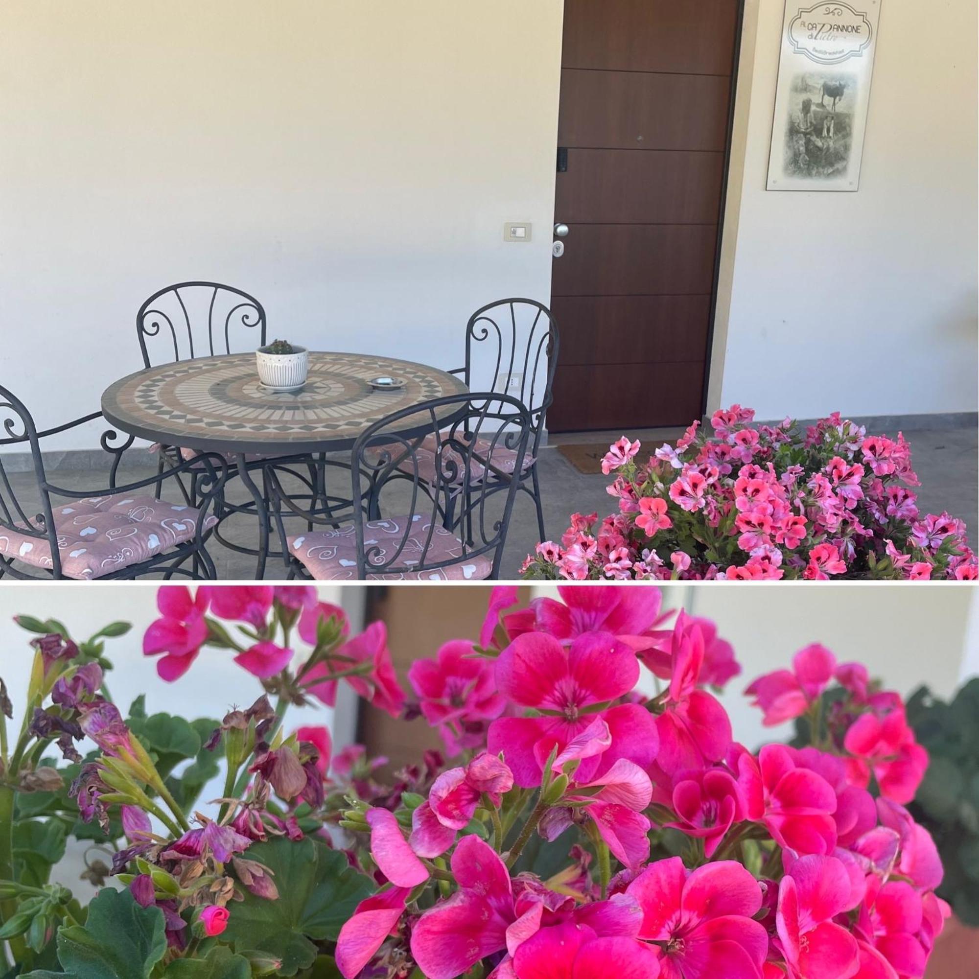 Al Capannone Di Pietro Bed & Breakfast Colli a Volturno Exterior foto